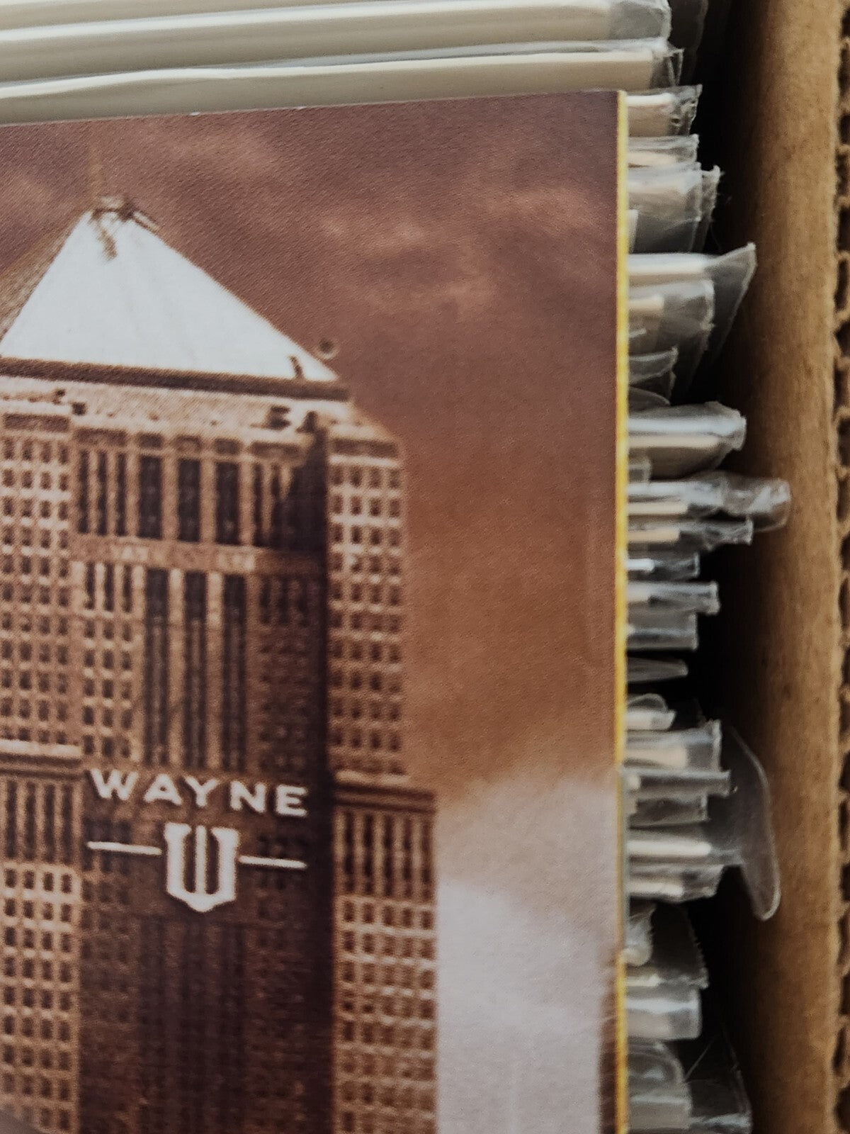 Supergirl 1B Turner Variant VF 2005 NM- 2 very light non breaking ticks + Bonus